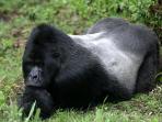 Small group adventure vacation in Uganda