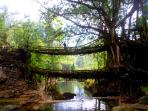 Cycling and homestay vacation in North East India