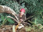 Internship Manu (shell)