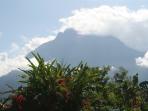 Borneo wildlife holiday with Mt. Kinabalu climb