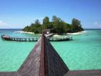 Borneo tailor made vacation, wildlife & beaches