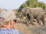 Sabi Sands & Kruger safari vacation in South Africa