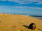 Sri Lanka tour & beach vacation