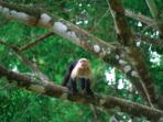 Self drive vacation in Costa Rica
