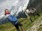 Horse riding vacation in the Mercantour
