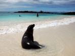Galapagos conservation volunteering vacation