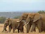 Tanzania vacation, The Rift and the Crater