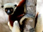 Madagascar
