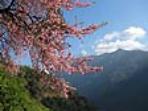 The Heart of Nepal trek, tailormade