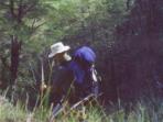 Karamea Track hiking trip in New Zealand