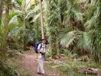 Heaphy Track hiking trip