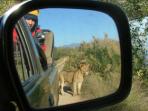 South Africa wildlife conservation expedition