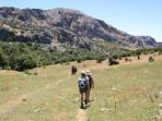 Walking in Andalucia, Spain
