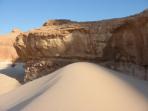 Sinai camel safari