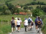 Tuscany tours, walking and wine tasting in Italy