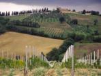 Volunteering work in Italy