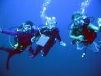 Marine conservation in Madagascar