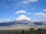 Sajama and Lauca national parks tour in Bolivia