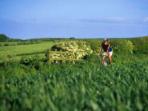 Mountain biking vacations in England
