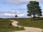 Cycling vacations in Scotland