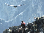 Peru tailor made vacation, Machu Picchu & Tambopata