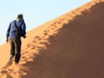 Namibia wildlife & camping safari