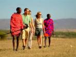 Kenya wildlife and bird safari