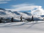 Cross country skiing in Norway
