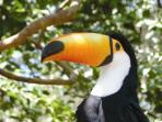 Ecuador and Amazon vacation
