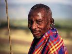 Kenya budget safari