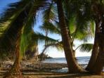 Costa Rica & Panama tours, jungle and reef tour