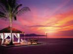 Honeymoon in Borneo