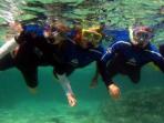 Ningaloo Reef day wildlife tours, Western Australia