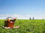 Cycling tour in Catalonia for food lovers, Spain