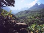 Yemen vacations in Socotra Island
