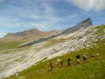 French Alps guided walking vacations