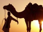 Budget holiday to Egypt