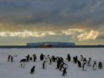 Antarctica and New Zealand Subantarctic Islands Wildlife Cruise