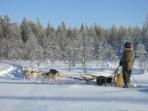 Husky safari & snowshoeing vacation in Finland