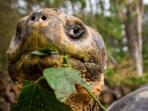 Galapagos budget adventure vacation