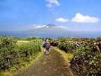 Walking vacation in the Azores, Portugal