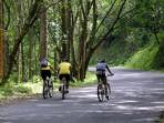 Cycling vacations in Kerala