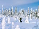 Lapland family winter adventure vacation
