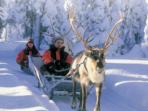 Family multi activity week in Finland