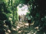 Walking in Kent, self guided walks, England