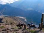 Horse riding & trekking in Argentina