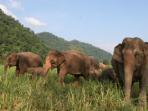 Nature and wildlife vacation in Thailand