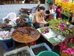 Cultural immersion vacation in Thailand
