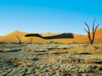 Family safari to Namibia