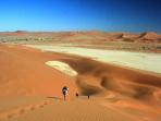 Namibia safari